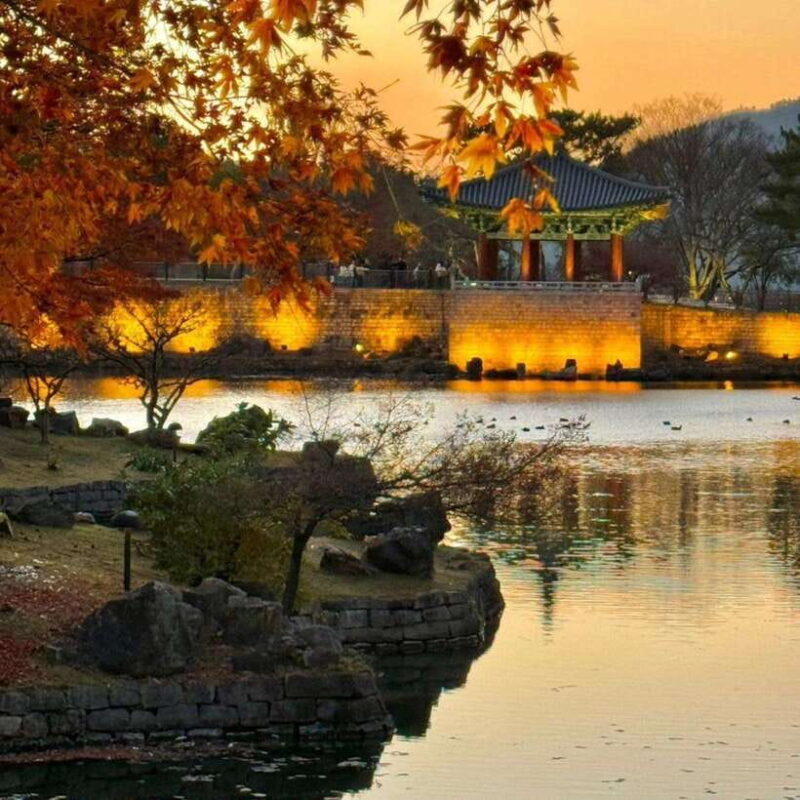 From Busan: Full-Day Private Yangdong village Gyeongju Tour - Why This Tour Stands Out