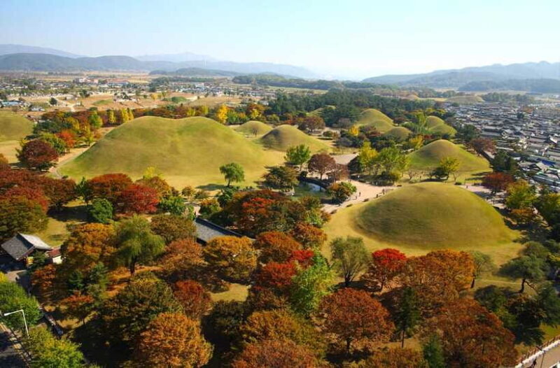 From Busan: Gyeongju UNESCO Guided Full-Day Tour - Who Should Book This Tour?
