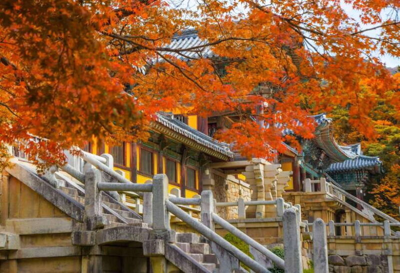 From Busan: Gyeongju UNESCO World Heritage Guided Day Tour - Who Should Consider This Tour?
