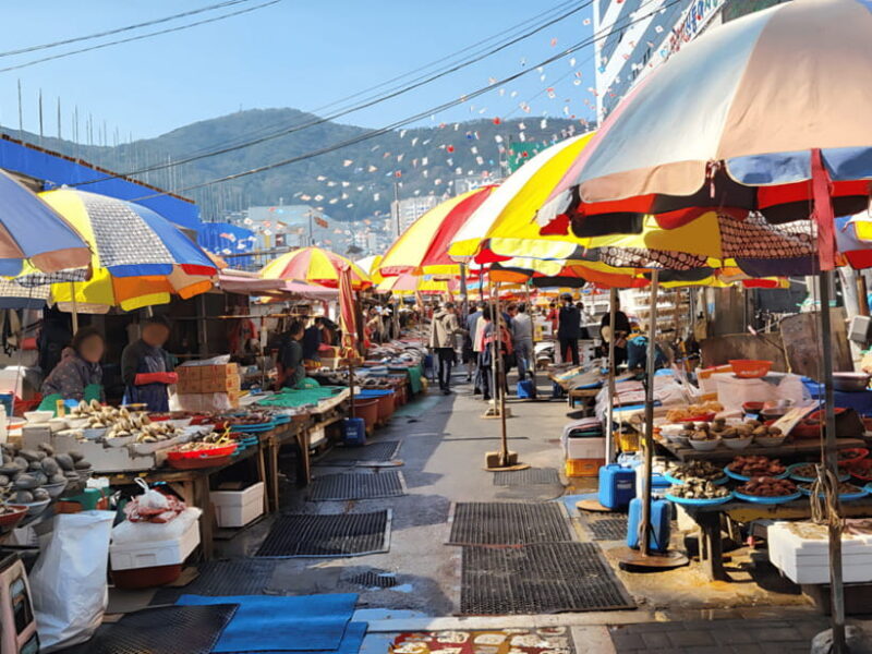 From Busan Port: Sightseeing Tour for Cruise Passengers - Key Points