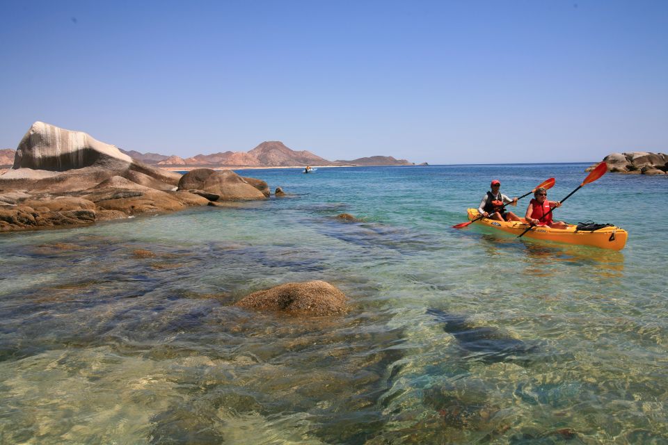 From Cabo: Cabo Pulmo Marine Park Snorkeling and Kayaking - Key Points