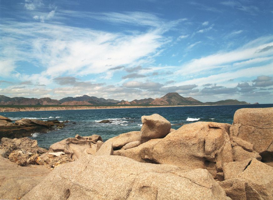 From Cabo: Cabo Pulmo Marine Park Snorkeling and Kayaking - Duration and Language Options