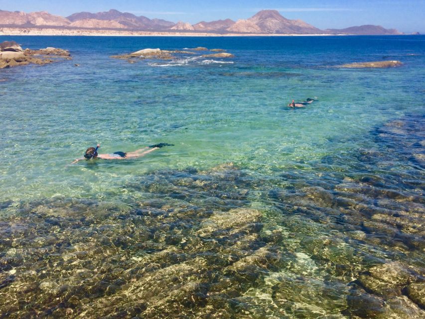 From Cabo: Cabo Pulmo Marine Park Snorkeling and Kayaking - Pick-up and Group Size Details