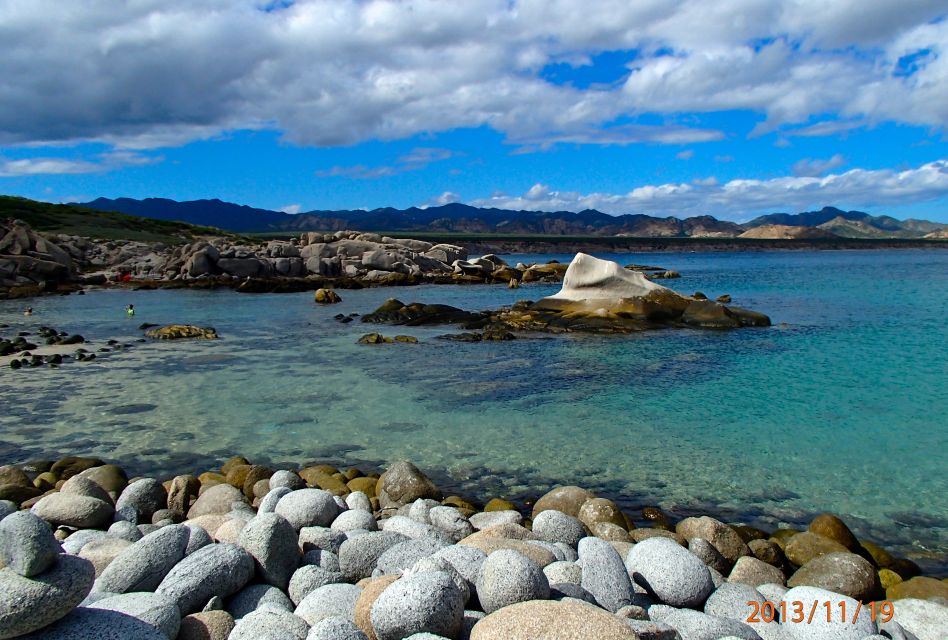 From Cabo: Cabo Pulmo Marine Park Snorkeling and Kayaking - Vibrant Coral Reef Snorkeling