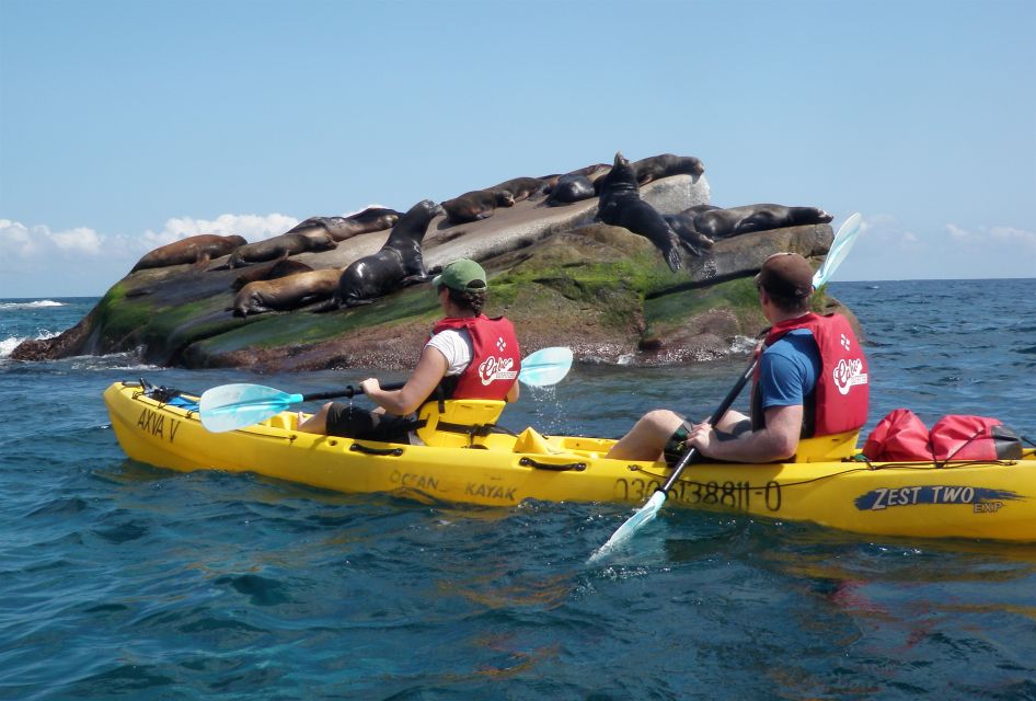From Cabo: Cabo Pulmo Marine Park Snorkeling and Kayaking - Inclusions of the Tour
