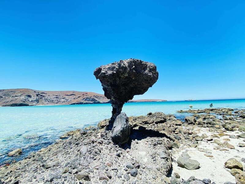 From Cabo/San José del Cabo: La Paz, Balandra & Todos Santos - Key Points