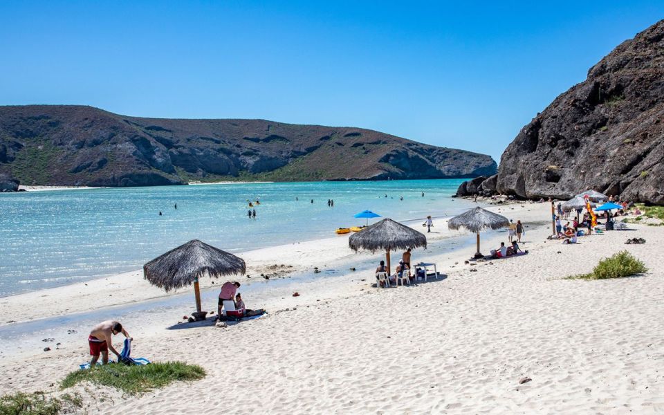 From Cabo San Lucas: La Paz and Todos Santos Day Trip - Key Points