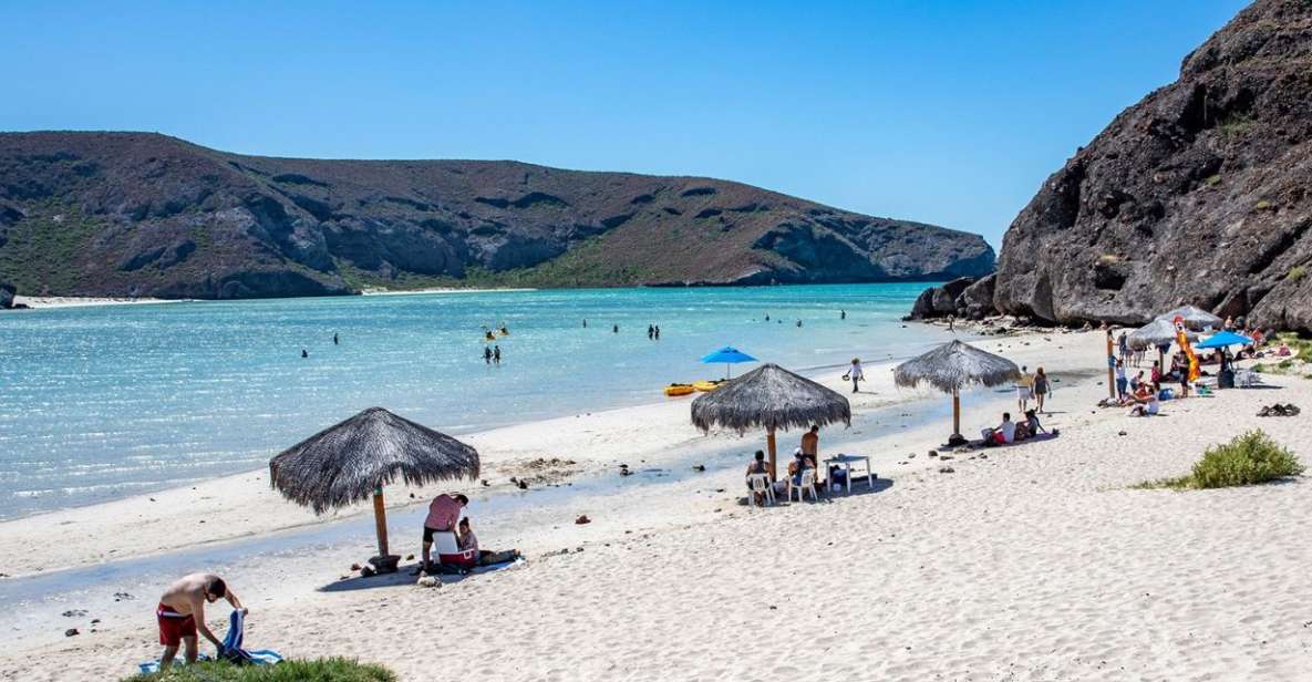 From Cabo San Lucas: La Paz and Todos Santos Day Trip - Inclusions and Exclusions