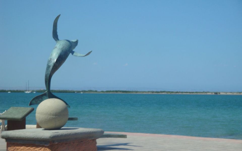 From Cabo San Lucas: La Paz and Todos Santos Day Trip - Tour of Todos Santos