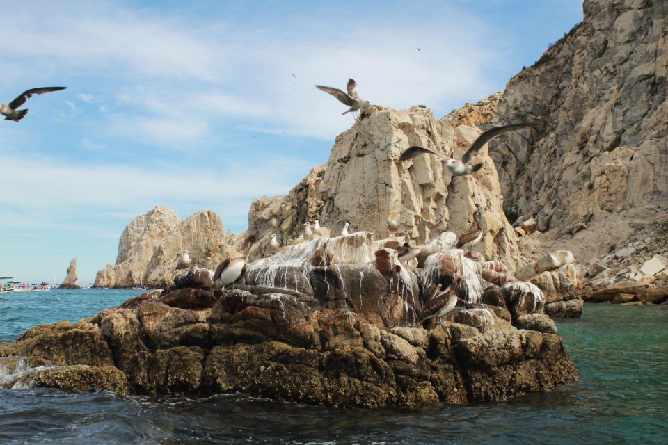 From Cabo San Lucas: Lovers Beach and El Arco Boat Trip - Cancellation Policy and Booking