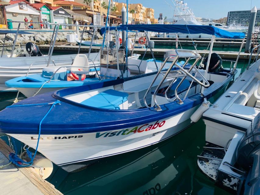 From Cabo San Lucas: Lovers Beach and El Arco Boat Trip - Exploring Lovers Beach