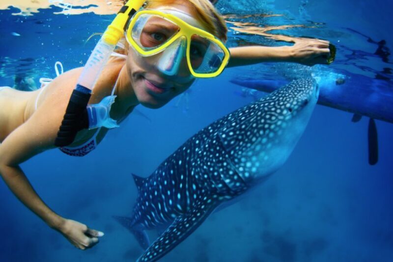 From Cabo: Snorkel with Whale Sharks in La Paz - A Break in La Paz: Strolls and Tastes