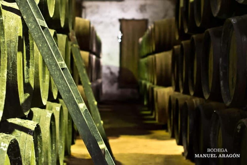 From Cádiz: Chiclana de la Frontera Winery Tour with Lunch - Key Points