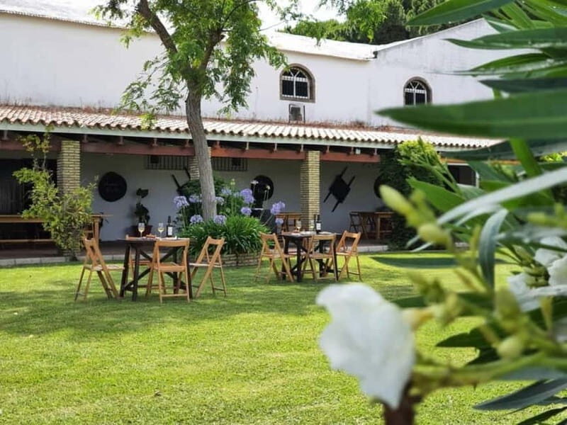 From Cádiz: Chiclana de la Frontera Winery Tour with Lunch - An In-Depth Look at the Tour Itself