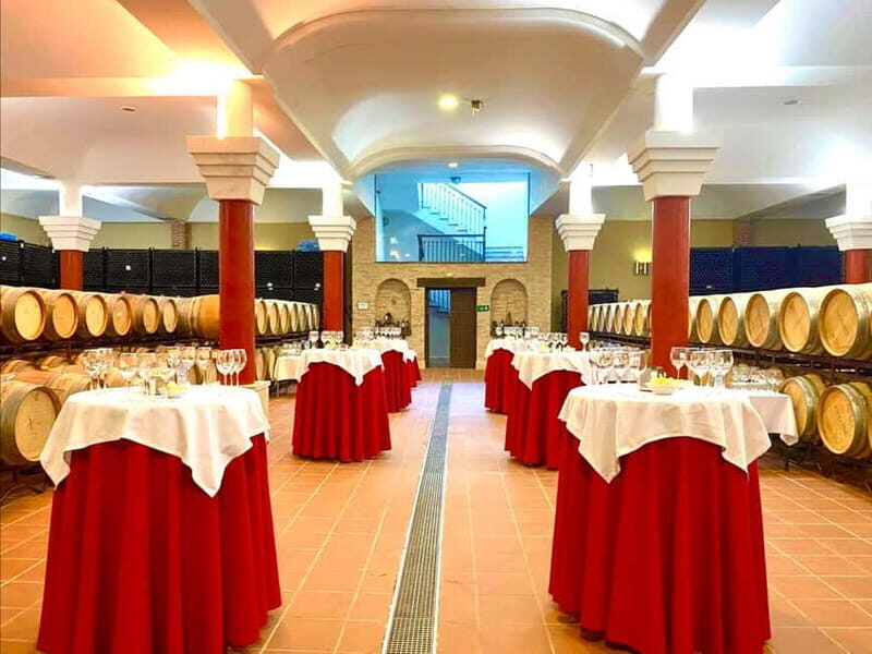 From Cádiz: Ronda Premium Private Day Tour with Wine Tasting - Authentic Experience & Tips