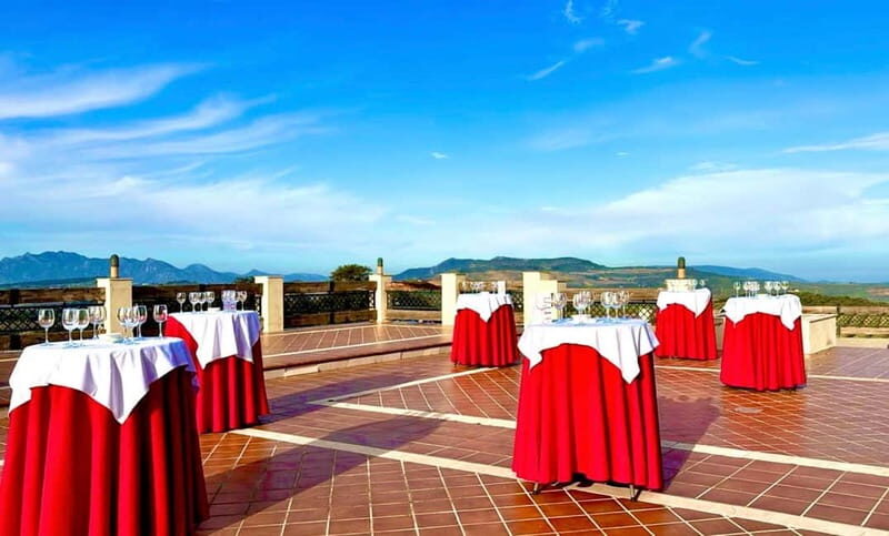 From Cádiz: Ronda Premium Private Day Tour with Wine Tasting - Who Should Consider This Tour?