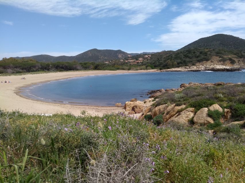 From Cagliari: Chia Beaches Tour - Key Points