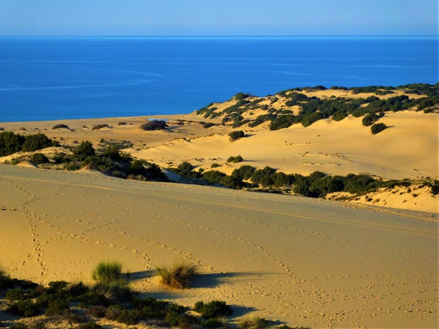 From Cagliari: Piscinas Old Mines and Montevecchio Tour - Key Points