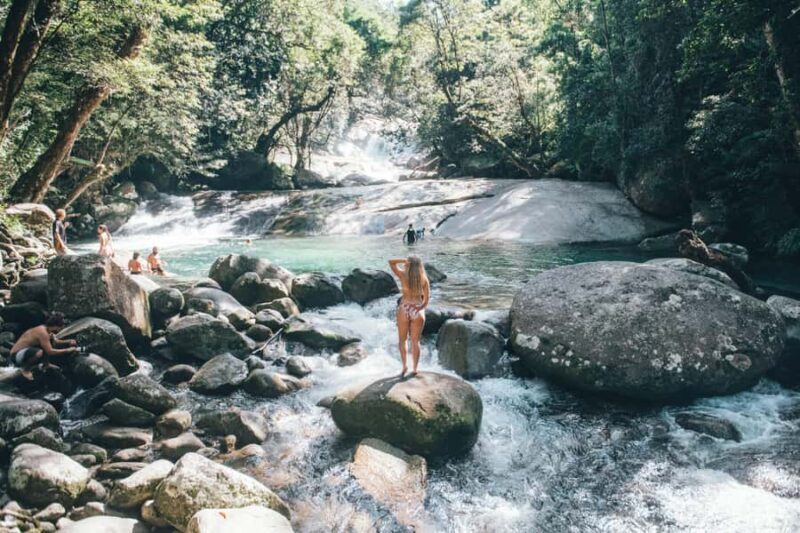 From Cairns: 2-Day Waterfall and Daintree Tour - What Reviewers Say