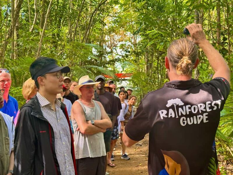From Cairns: 2-Day Waterfall and Daintree Tour - Final Thoughts: Is This Tour Worth It?