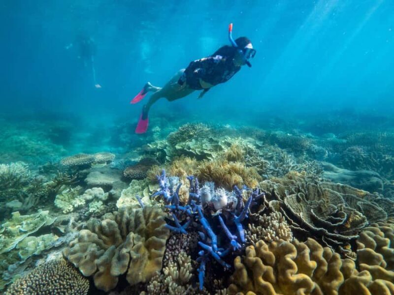 From Cairns: 2 Islands 1 day - Fitzroy & Green Islands - Final Thoughts