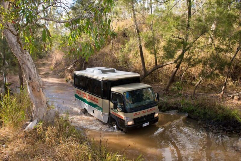 From Cairns: 3-Day Reef, Rainforest, and Outback Package - Day 3: The Outback and Chillagoe Caves