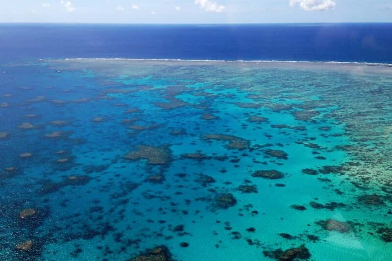 From Cairns: 40-Min Scenic Reef Window Seat Airplane Flight - The Experience Itself: What It’s Like