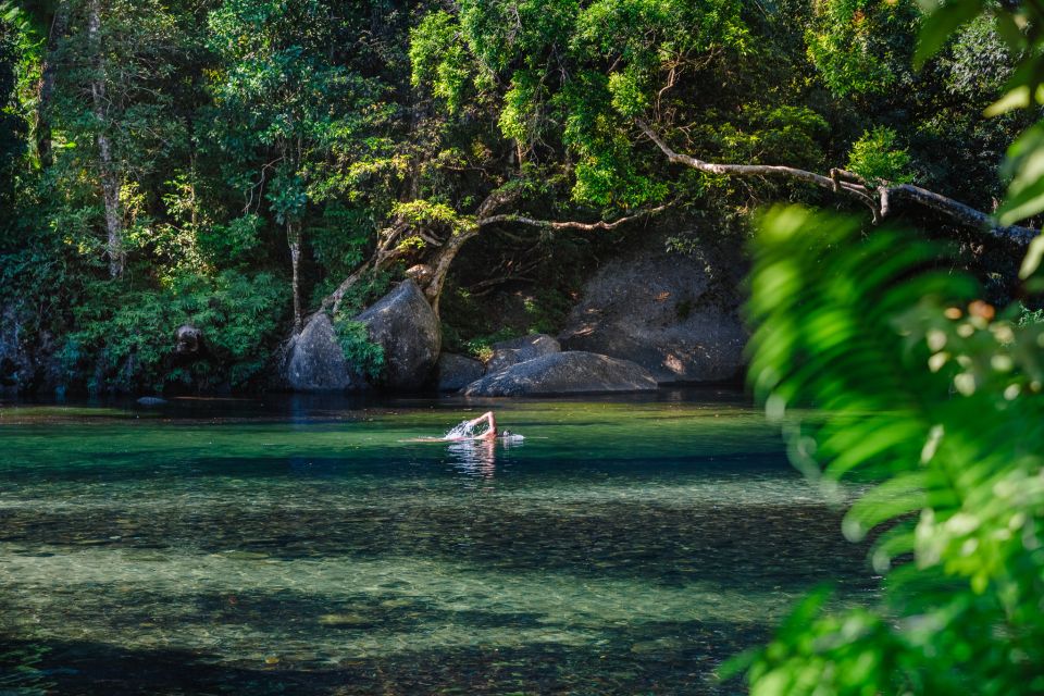 From Cairns: Atherton Tableland Wilderness Tour With Lunch - Key Points