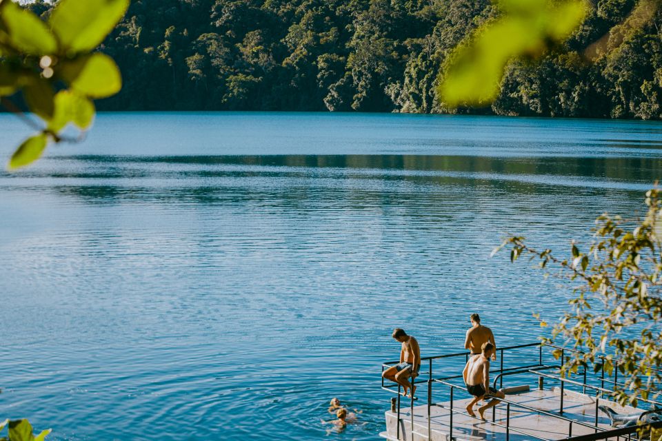 From Cairns: Atherton Tableland Wilderness Tour With Lunch - Tour Description