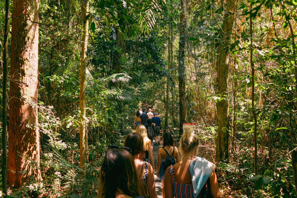 From Cairns: Atherton Tableland Wilderness Tour With Lunch - Important Information