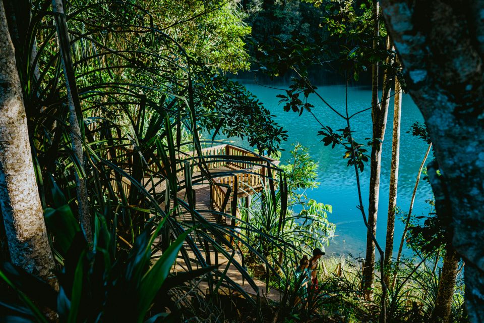 From Cairns: Atherton Tableland Wilderness Tour With Lunch - Recap