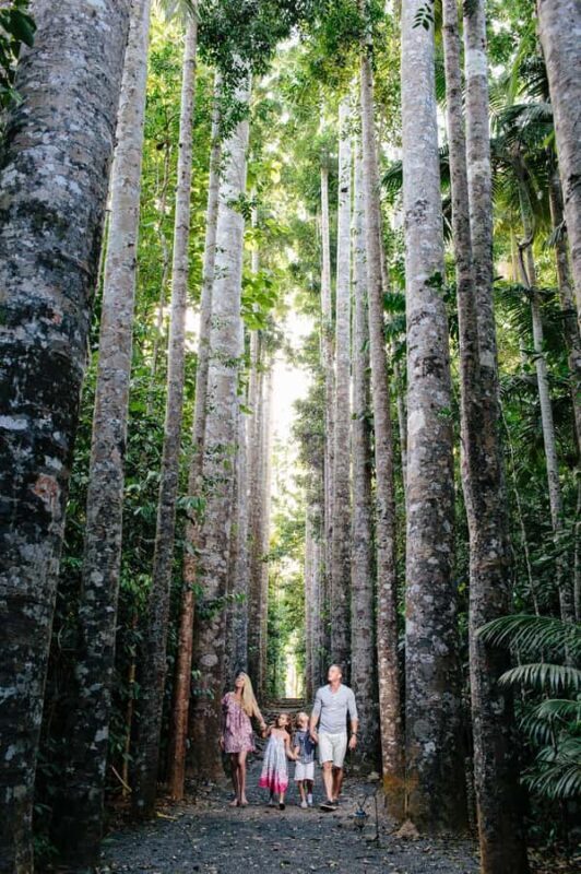 From Cairns: Atherton Tablelands and Paronella Park Day Trip - An In-depth Look at the Experience