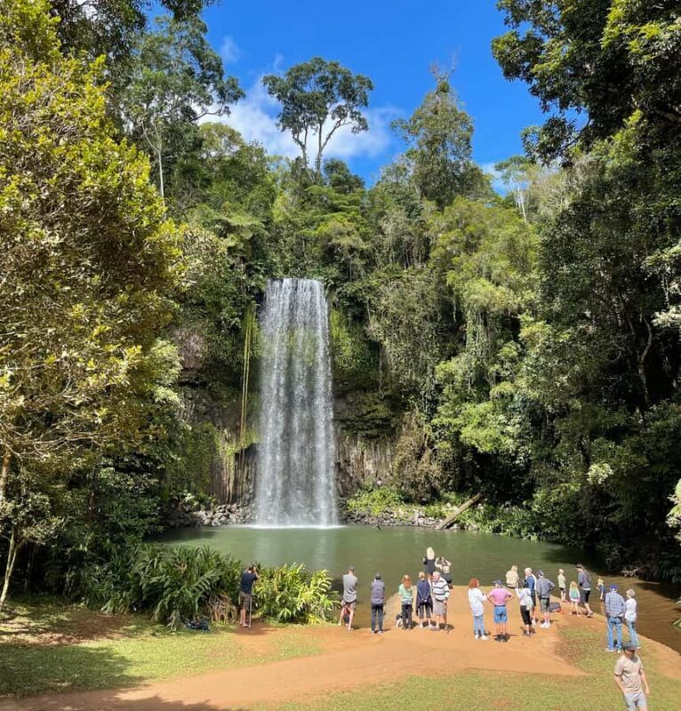 From Cairns: Atherton Tablelands and Paronella Park Day Trip - FAQ
