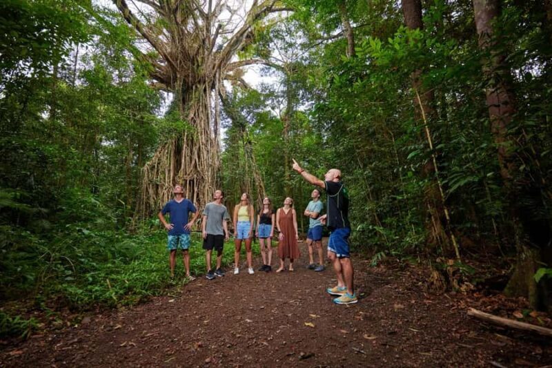 From Cairns: Barefoot Tablelands Waterfall & Rainforest Tour - Exploring the Scenic Route through Atherton Tablelands