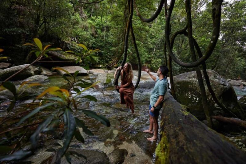 From Cairns: Barefoot Tablelands Waterfall & Rainforest Tour - The Sum Up