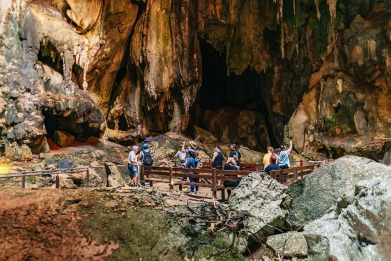 From Cairns: Chillagoe Caves and Outback Full-Day Tour - End of the Day: Scenic Drive Back to Cairns