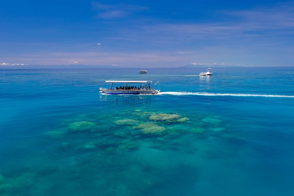 From Cairns: Cruise to Michaelmas Cay With Water Activities - Key Points