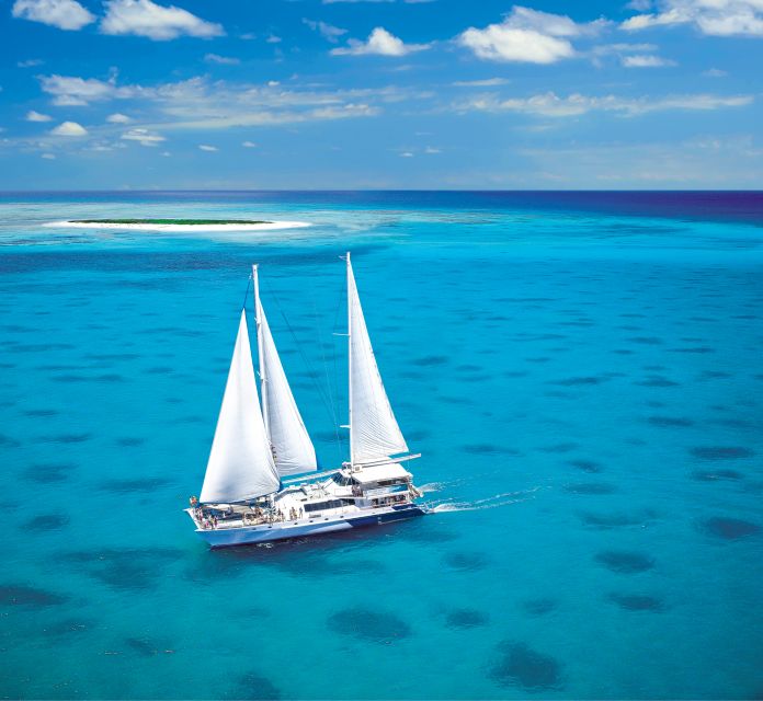 From Cairns: Cruise to Michaelmas Cay With Water Activities - Activity Features
