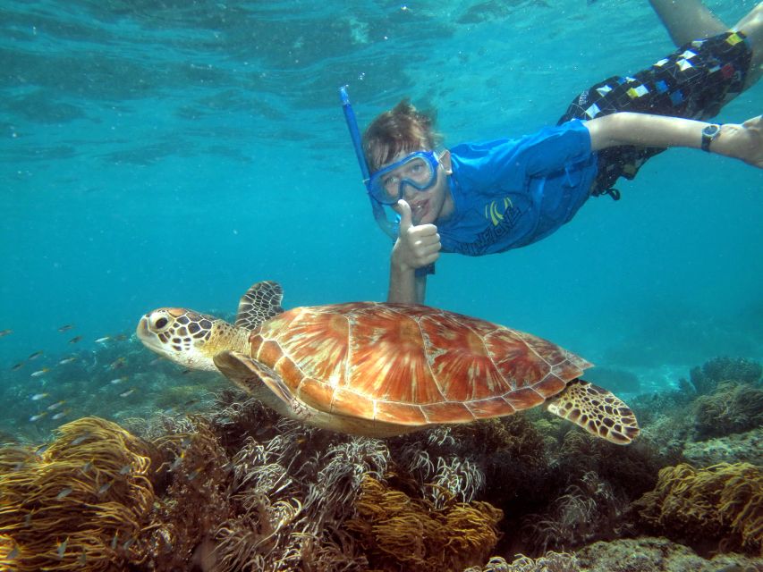 From Cairns: Cruise to Michaelmas Cay With Water Activities - Frequently Asked Questions