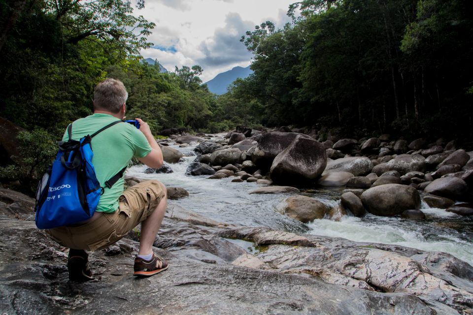 From Cairns: Daintree National Park Private Tour - Key Points