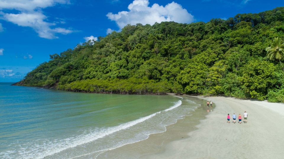 From Cairns: Daintree Rainforest & Cape Tribulation 4WD Tour - Pricing and Duration