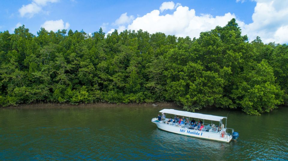 From Cairns: Daintree Rainforest & Cape Tribulation 4WD Tour - Language and Pickup