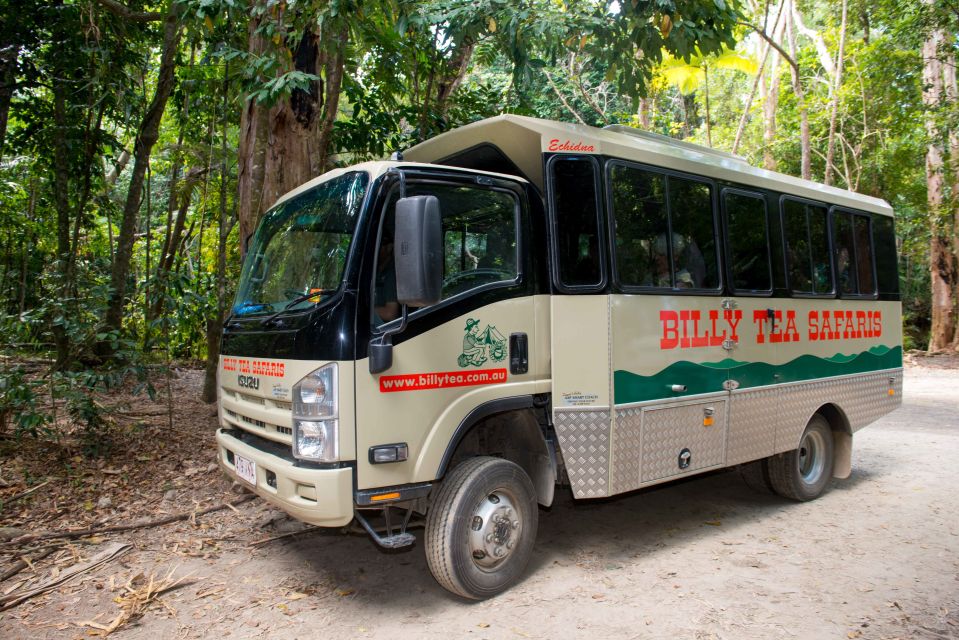 From Cairns: Daintree Rainforest & Cape Tribulation 4WD Tour - Tour Highlights
