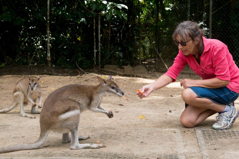 From Cairns: Daintree Rainforest & Cape Tribulation 4WD Tour - Inclusions Provided