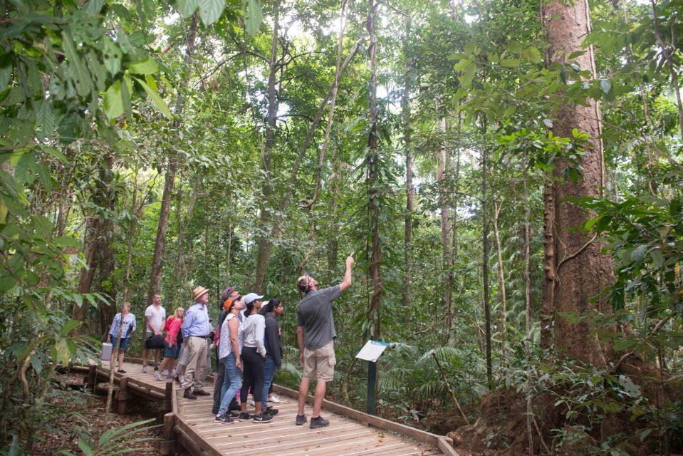 From Cairns: Daintree Rainforest & Cape Tribulation 4WD Tour - Directions for Booking