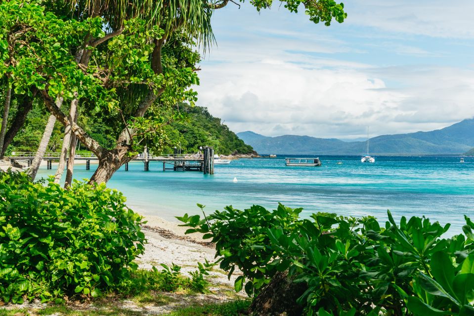 From Cairns: Fitzroy Island Full-Day Adventure Tour - Pricing and Inclusions