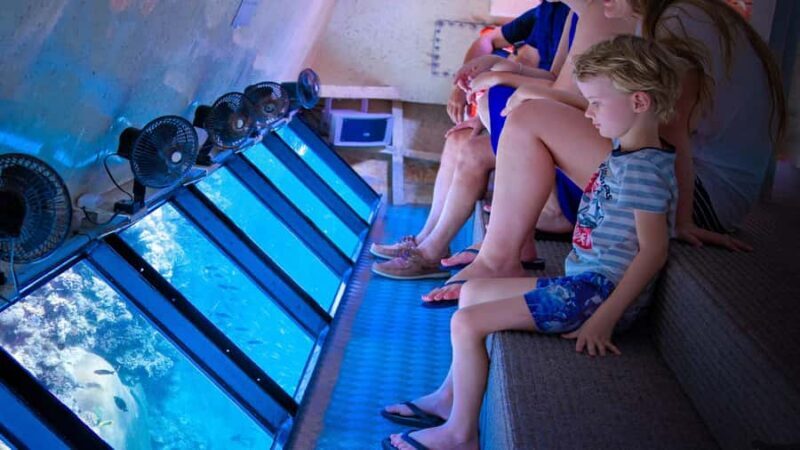 From Cairns: Frankland Island All-Inclusive Day Tour - Key Points