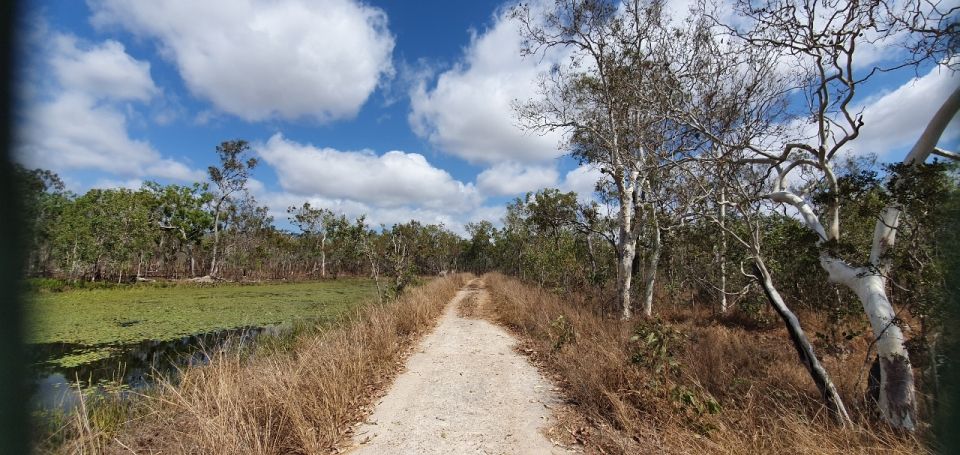 From Cairns: Full-Day Birdwatching Excursion - Highlights