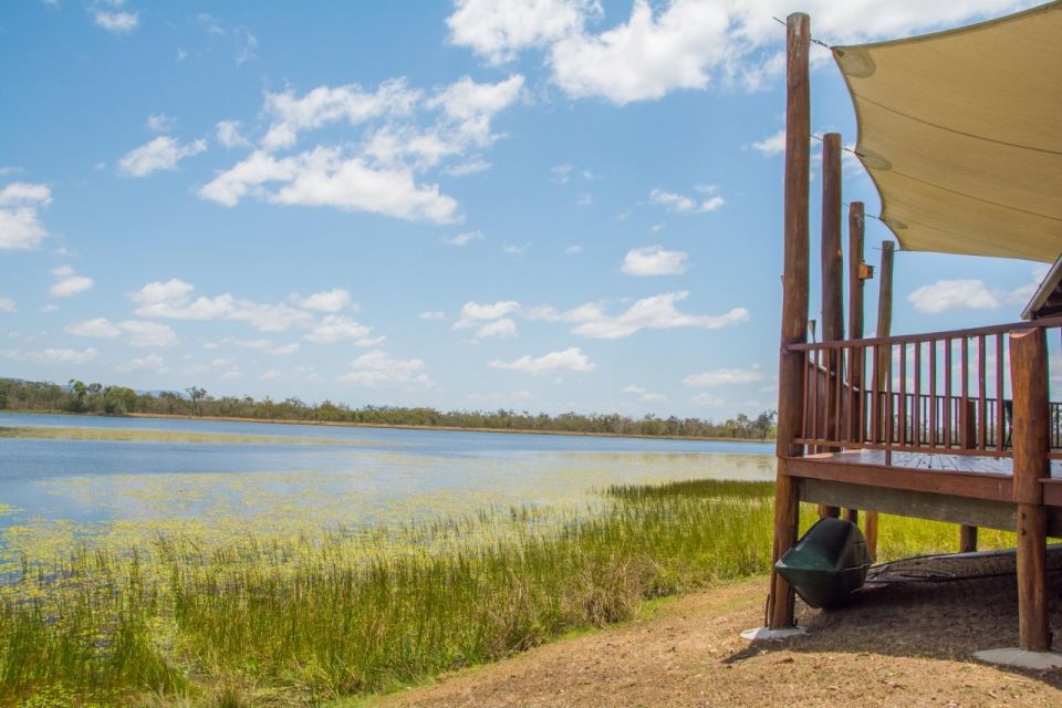 From Cairns: Full-Day Birdwatching Excursion - Experience