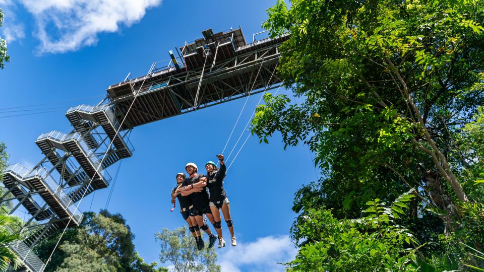 From Cairns: Giant Swing - Transfers and Logistics